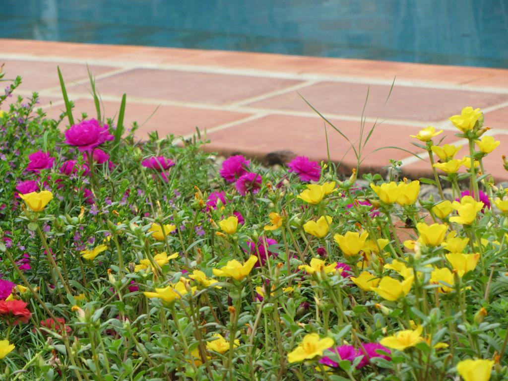 La Colorada Bed & Breakfast Zacualpan Exterior foto