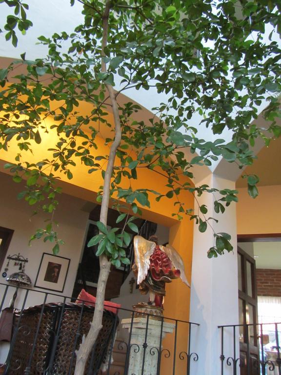 La Colorada Bed & Breakfast Zacualpan Exterior foto
